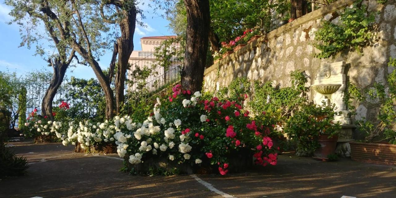 Villa L'Ulivina Península Sorrentina Exterior foto